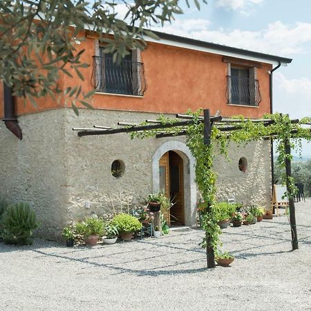 B&B Rifugio Tra Gli Ulivi Campagna Eksteriør bilde