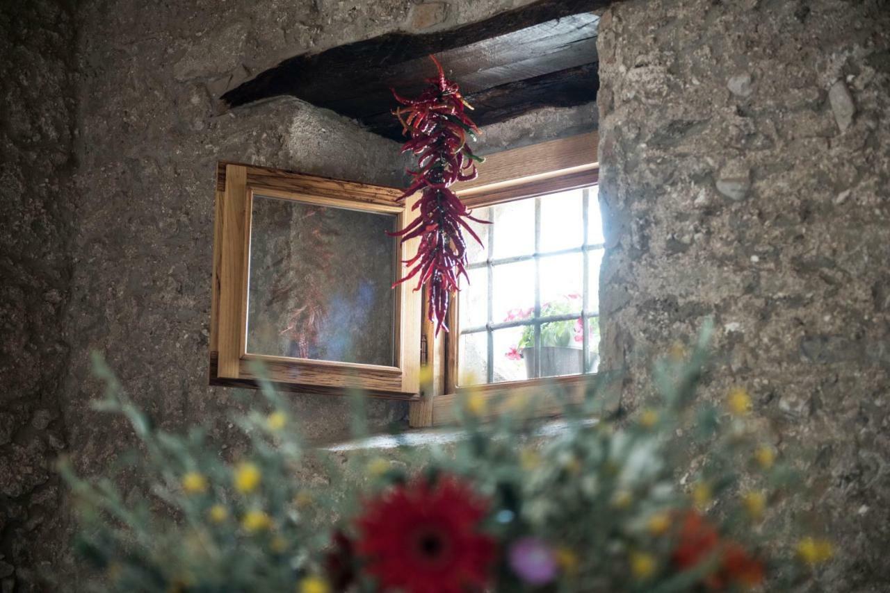 B&B Rifugio Tra Gli Ulivi Campagna Eksteriør bilde