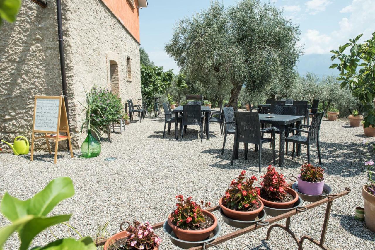 B&B Rifugio Tra Gli Ulivi Campagna Eksteriør bilde