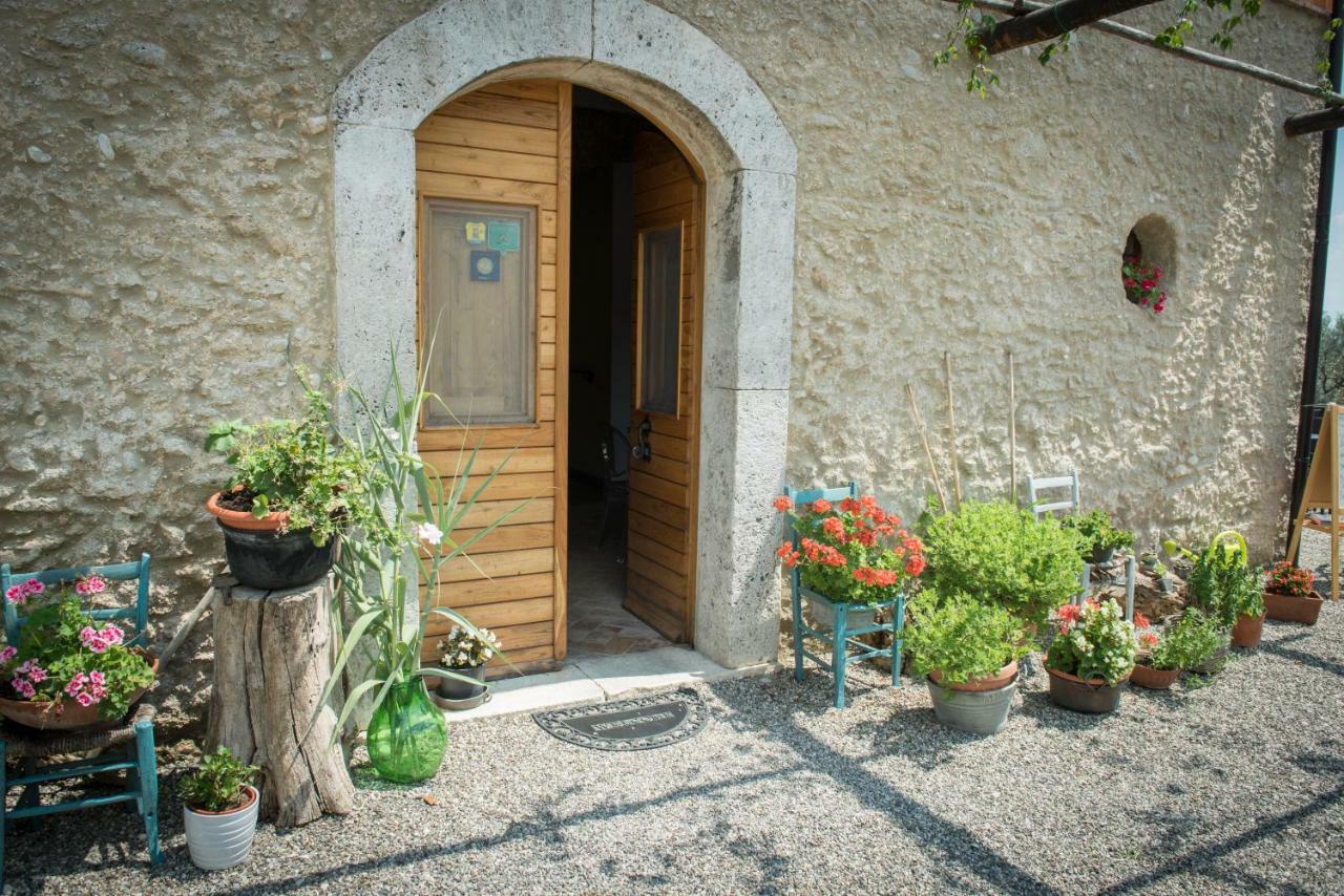 B&B Rifugio Tra Gli Ulivi Campagna Eksteriør bilde