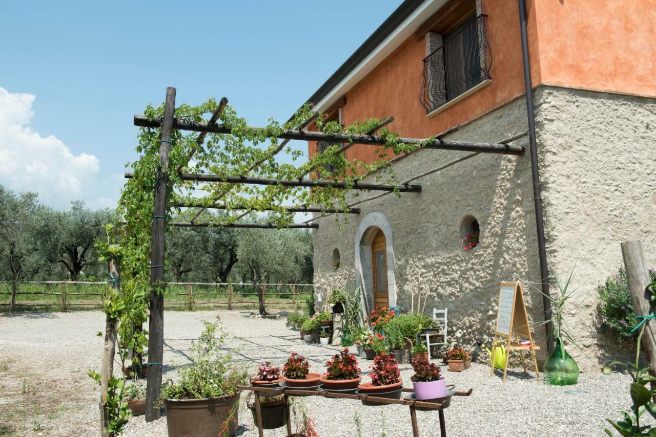 B&B Rifugio Tra Gli Ulivi Campagna Eksteriør bilde