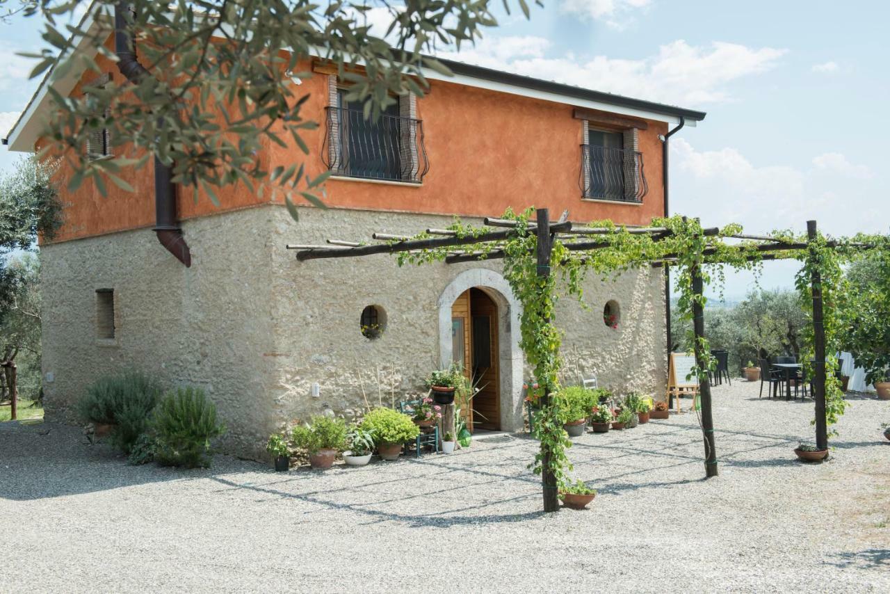 B&B Rifugio Tra Gli Ulivi Campagna Eksteriør bilde