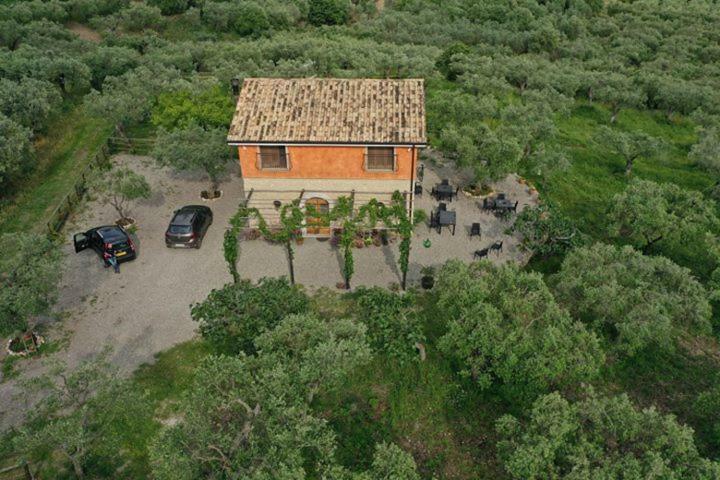 B&B Rifugio Tra Gli Ulivi Campagna Eksteriør bilde